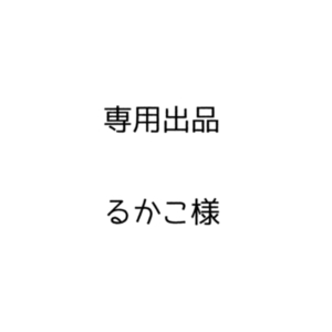 るかこ様専用出品