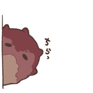 【しずみさん専用ページ】
