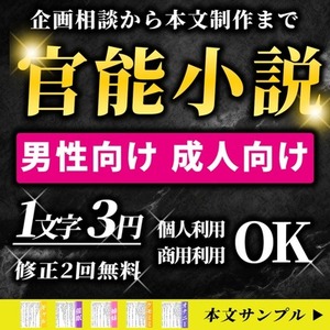 【成人向け・男性向け】官能小説・アダルトノベルを制作します！