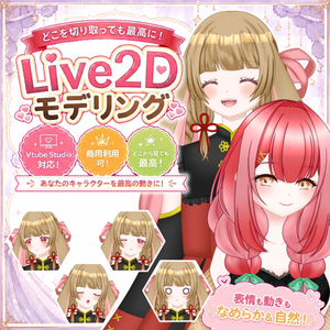 VTube Studio対応 Live2Dモデリング
