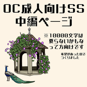 OC成人向けSS制作｜中編