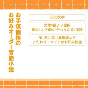【納期長め/プロットがある方】お手頃価格で、オリキャラ官能小説お書きします
