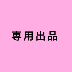 専用ページ