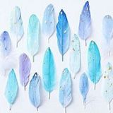 西の魔女見習いニーナ