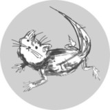 猫蜥蜴【ねことかげ⠀】