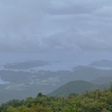 あんことおもち