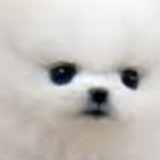 丁田おる Oru Matida