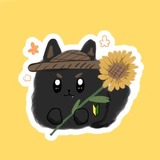 ほわち