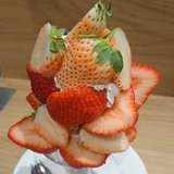 ユーザーアイコン