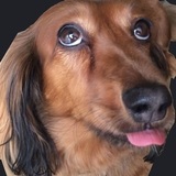 ユーザーアイコン