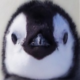 ユーザーアイコン