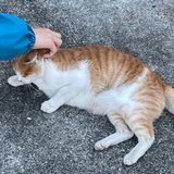 ユーザーアイコン