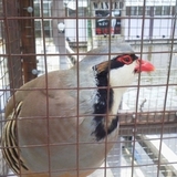 ユーザーアイコン