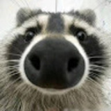 ユーザーアイコン