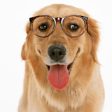 ユーザーアイコン