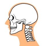 からだ・けんこうサポーター