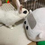 ユーザーアイコン