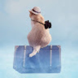 ユーザーアイコン