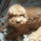 ユーザーアイコン