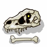 Uwago