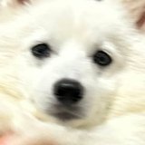 ユーザーアイコン