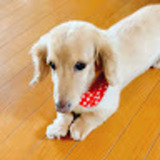 ユーザーアイコン