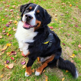 ユーザーアイコン