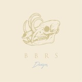 BBRS_design
