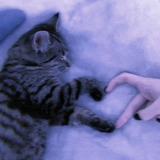 ユーザーアイコン