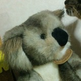 ユーザーアイコン