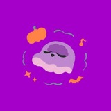 小川 / きらめく氷