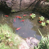 ユーザーアイコン