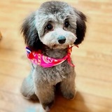 ユーザーアイコン