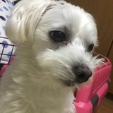 ユーザーアイコン