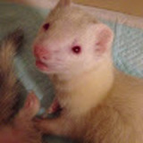 ユーザーアイコン