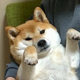 ユーザーアイコン