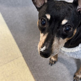 ユーザーアイコン