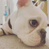 ユーザーアイコン