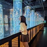 ユーザーアイコン