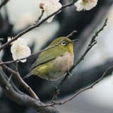 ユーザーアイコン