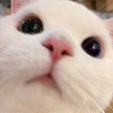 ユーザーアイコン
