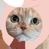 ユーザーアイコン