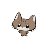 猫貝