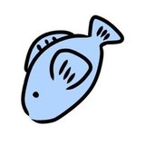 さかな