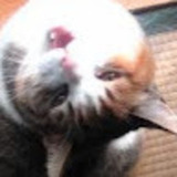 誘宵